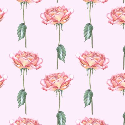 Нежные акварельные розы на розовом