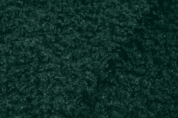 Букле Барбет 12