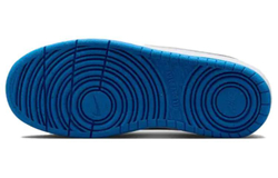 Женские кроссовки Nike Court Borough Low Recraft 'Platinum Cool Grey Photo Blue' DV5456-019