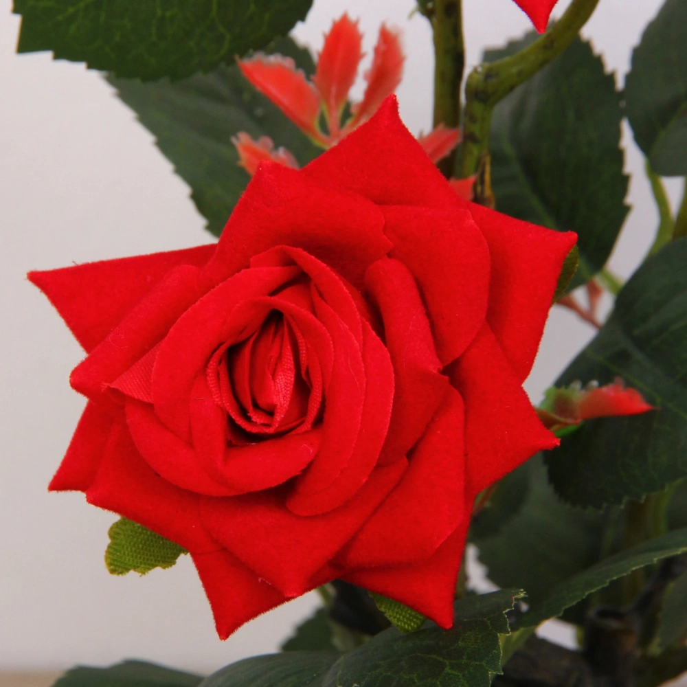 Цветочная композиция «Розовый восторг» 25см в горшке, цвет красный