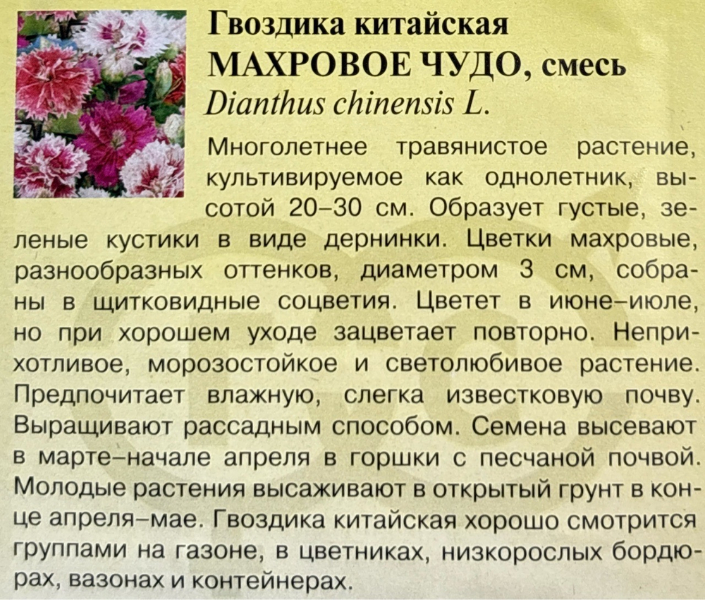 Гвоздика Китайская Махровое чудо, смесь 0,05 г СМЦ-911