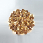 Wall lamp  PATHLEAF by Serip