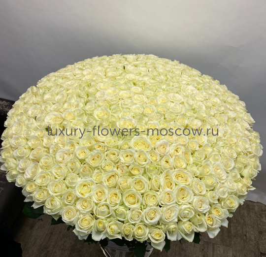 501 белая рф в корзине