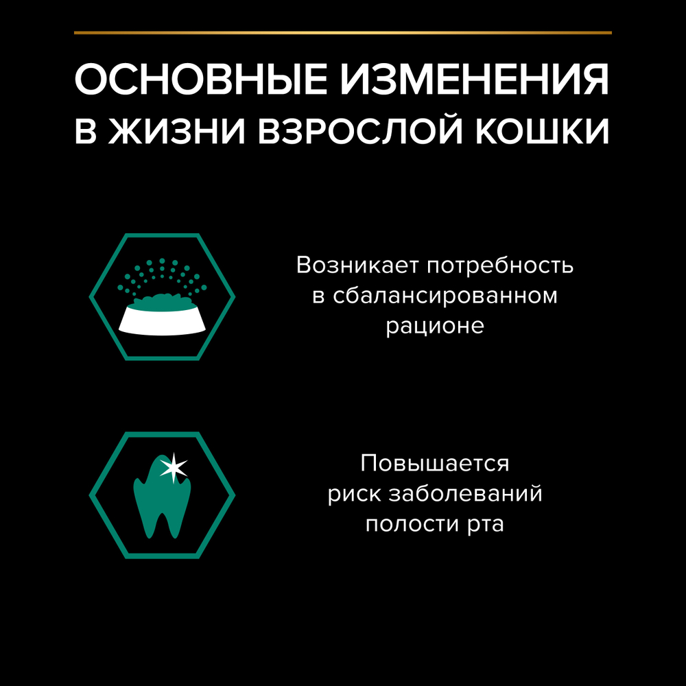 Паучи PRO PLAN MAINTENANCE для взрослых кошек живущих дома с говядиной в соусе 26х85г