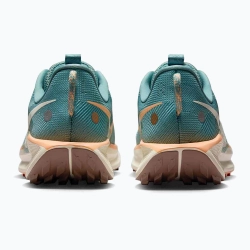 Женские Кроссовки для бега Nike Pegasus Trail 5 cannon/soft pearl/mink brown