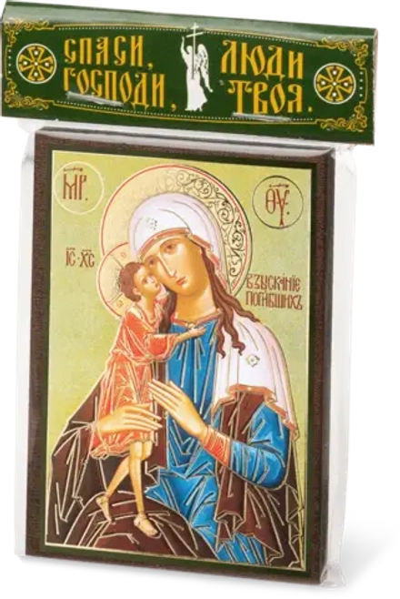 Икона БМ "Взыскание погибших" 6х9 на МДФ-6