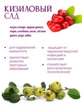 Чай фруктовый "Кизиловый сад"