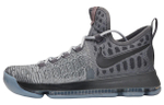 Кроссовки Nike Kd 9 Fairmount