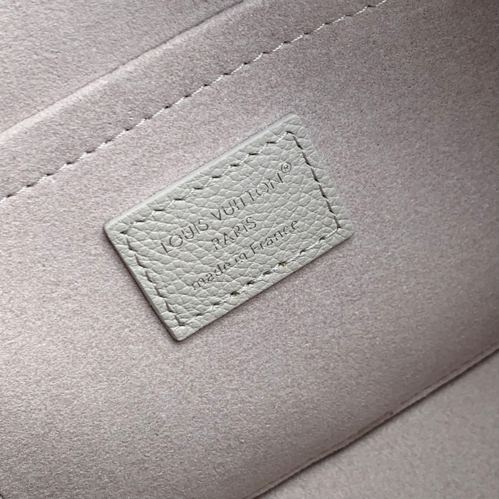 Louis Vuitton Speedy 20