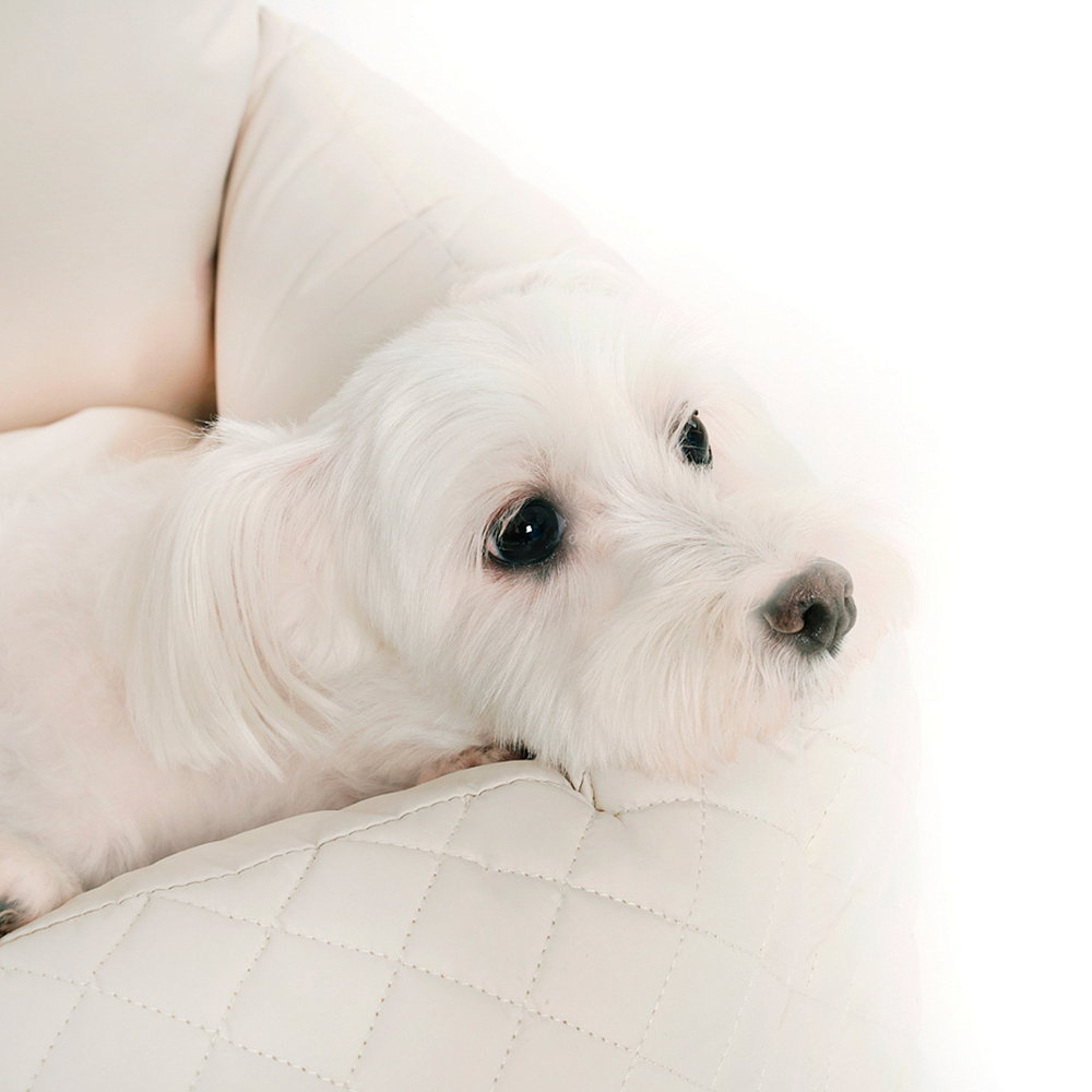 001 Лежанка "Стежка" для авто - автокресло для собак/кошек/ переноска в машину Puppy Angel Luxury Quilted Dog Cushion V2