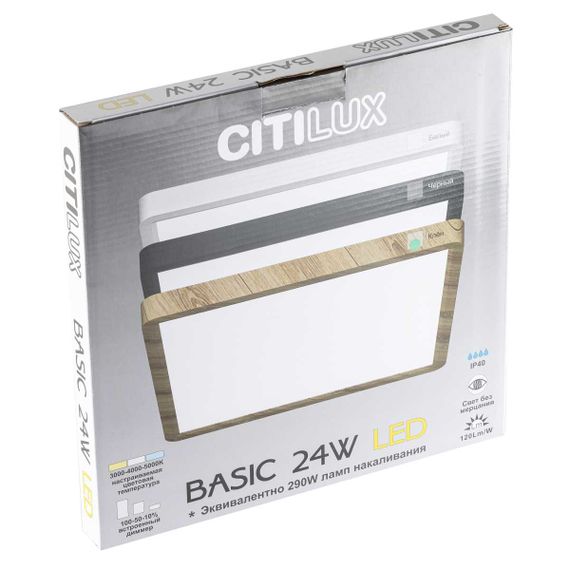 Светильник накладной Citilux Бейсик CL738K242V