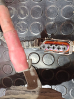 Проводка двигателя MX13 2020 год.