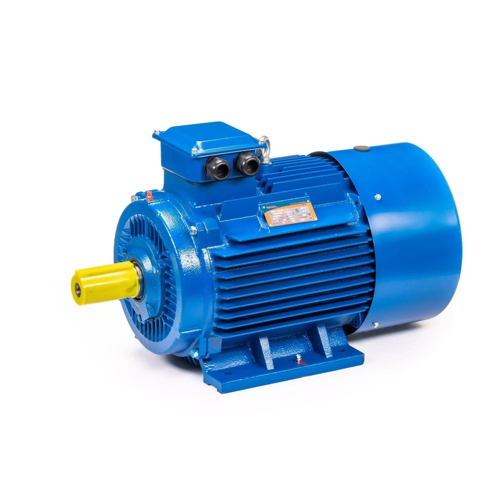 Электродвигатель 5АИ 200 L4 45/1500 IM1001