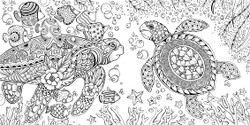 Die Welt unter der Lupe – zu Wasser. Rita Berman. Coloring book