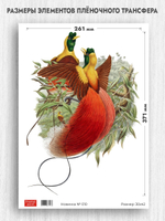 Трансфер для декупажа переводной рисунок для поверхностей новинка 010