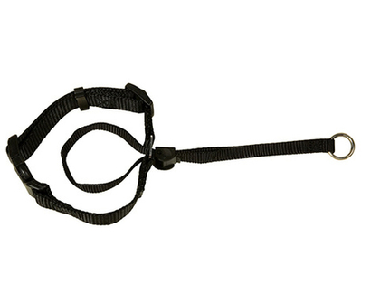 КАСКАД Намордник-петля (недоуздок), размер S