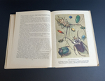 Книга Занимательная зоология Я. А. Цингер 1962 г. VF
