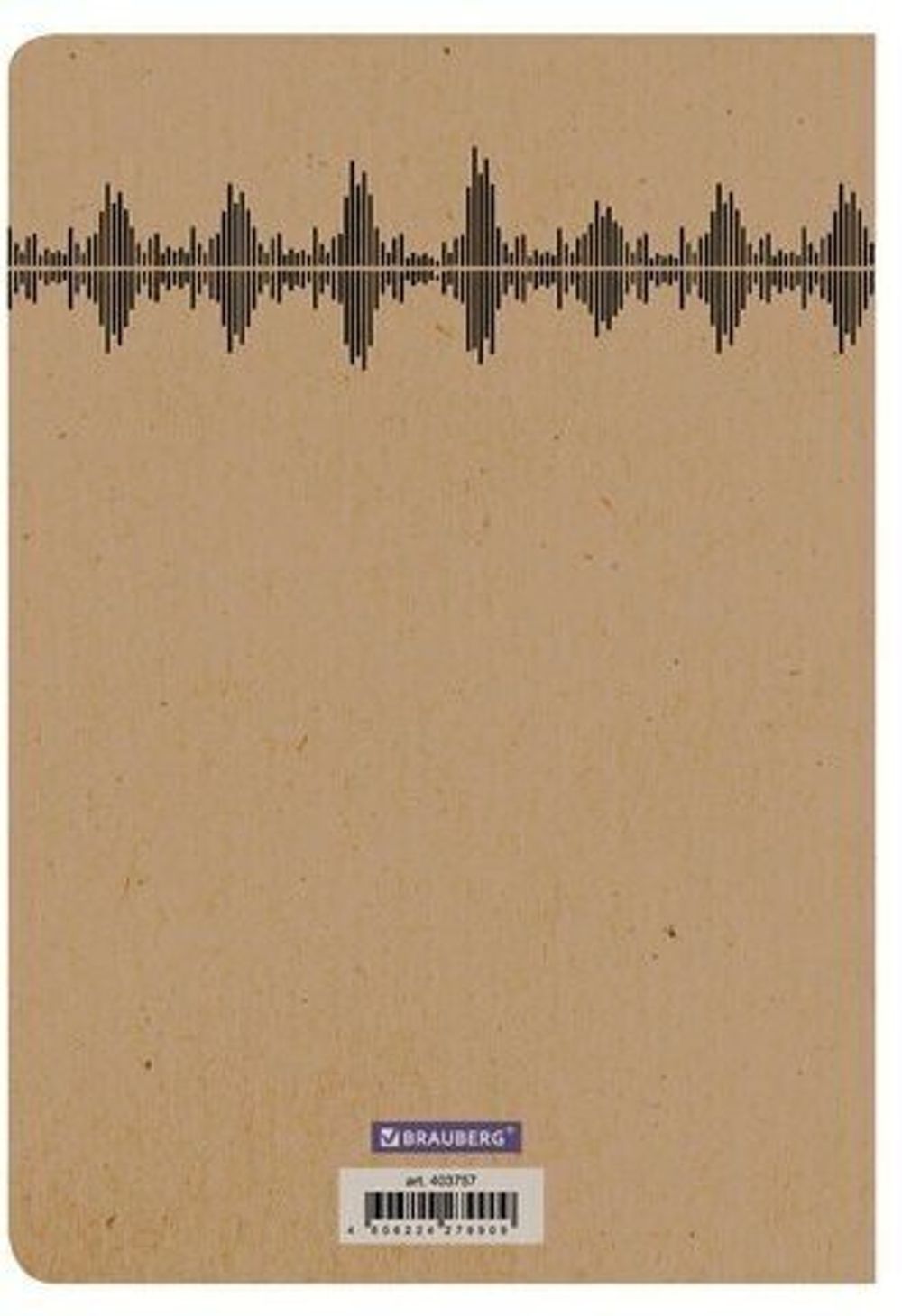 Тетрадь 40 л. в клетку обложка КРАФТ, бежевая бумага 70 г/м2, сшивка, А5 (147х210 мм), СКЕЙТЕР, BRAUBERG, 403757