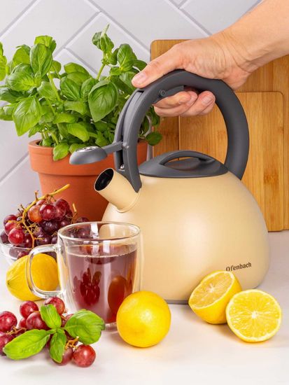 Чайник 2,7 л. из нержавеющей стали со свистком Ofenbach NB 100322