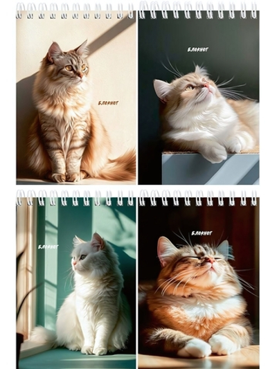 Блокнот А6 40 листов, клетка "Солнечные котики" на гребне, ассорти (Проф-Пресс)