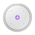 Умная колонка Яндекс Станция Мини (с часами), Серый опал