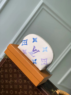 Louis Vuitton Cosmetic Pouch PM