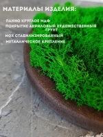 Панно из мха набор 3 шт.