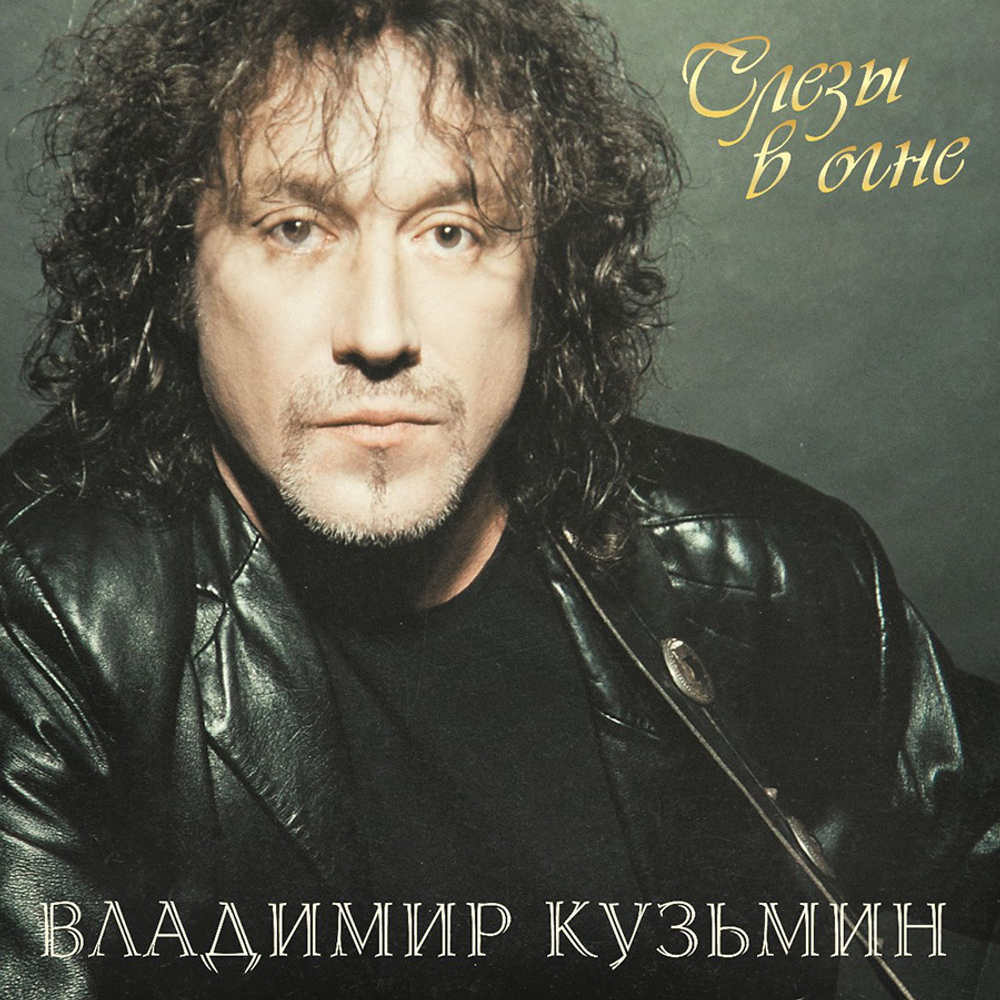 Владимир Кузьмин / Слезы В Огне (LP)