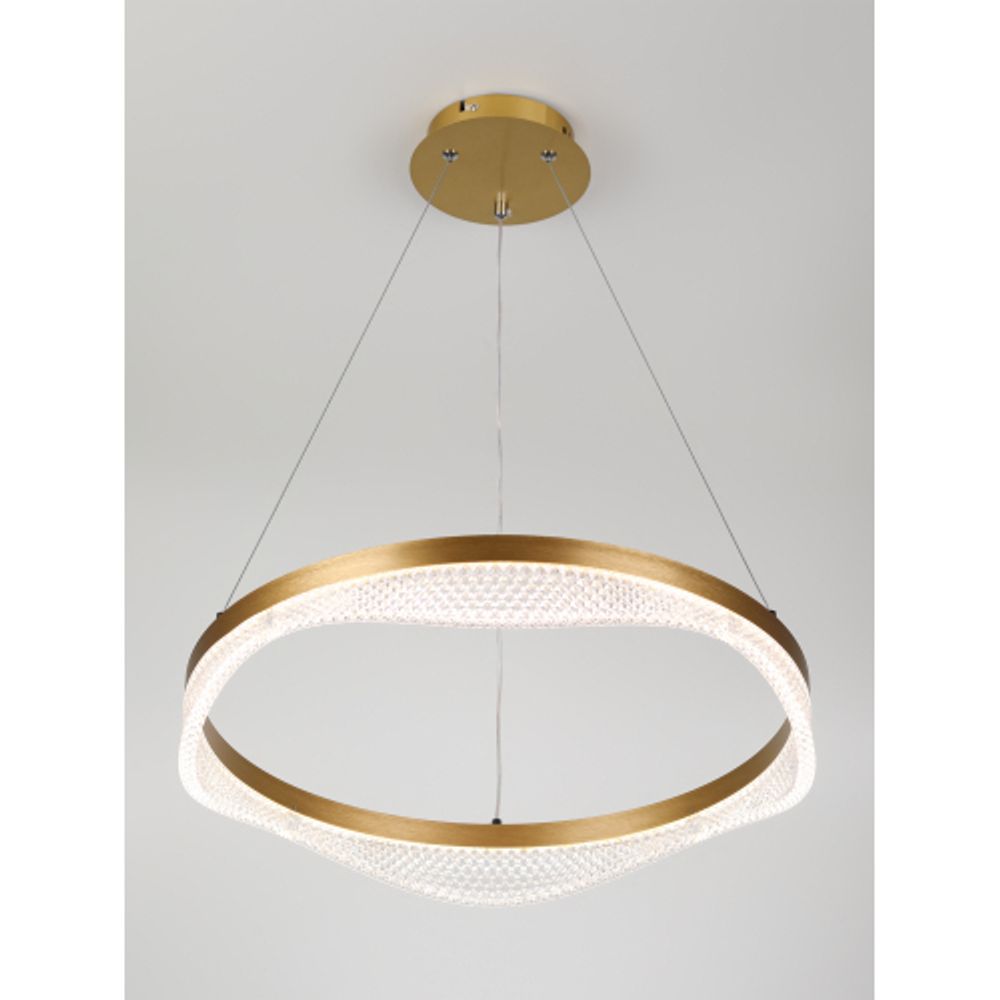 Светильник потолочный светодиодный Rivoli Dana 6189-201 LED 3000 - 6300К 56 Вт с пультом | Интерьерные светодиодные светильники