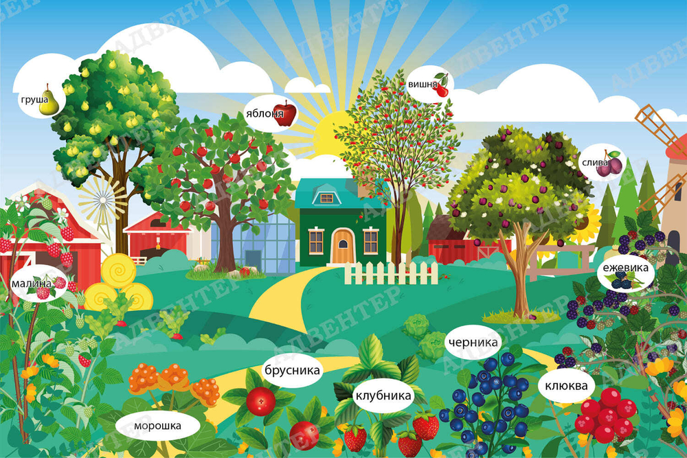 Тематический виниловый элемент Ферма. Ягоды 1725