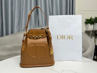 Christian Dior Medium C'est Dior Bag