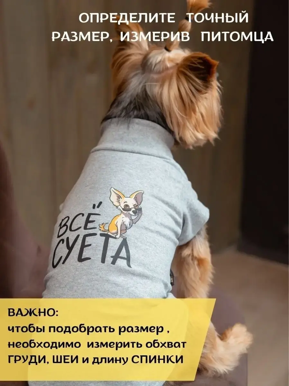 Футболка для собак мелких средних пород и кошек