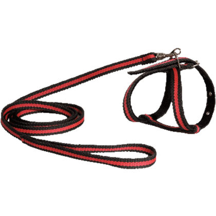 ZOONIK Шлейка + поводок для маленьких собак, капроновая лента 15 мм