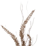 Ветка декоративная «Изящный колос» 75 см, Шампань