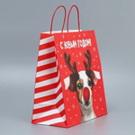 Пакет подарочный 28 × 32 × 15 см крафтовый «Олень ты» (Дарите Счастье)