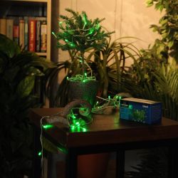 ULD-S0500-050-DTA GREEN IP20 Гирлянда светодиодная с контроллером. 5м. 50 светодиодов. Зеленый свет. Провод прозрачный. ТМ Uniel