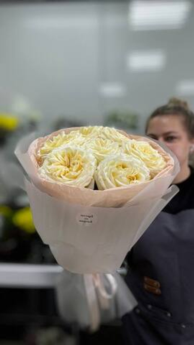 Моя красивая