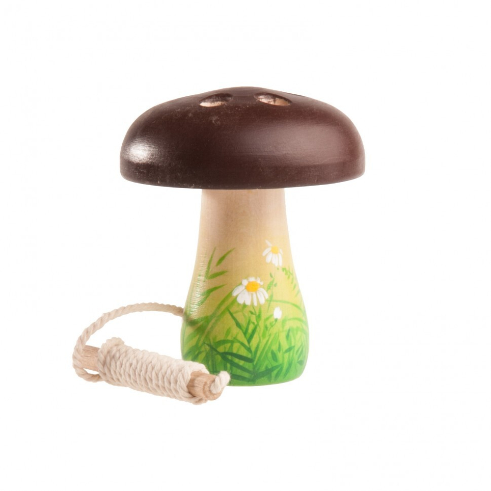 Гриб - шнуровка с нежной зеленью по ножке Леснушки