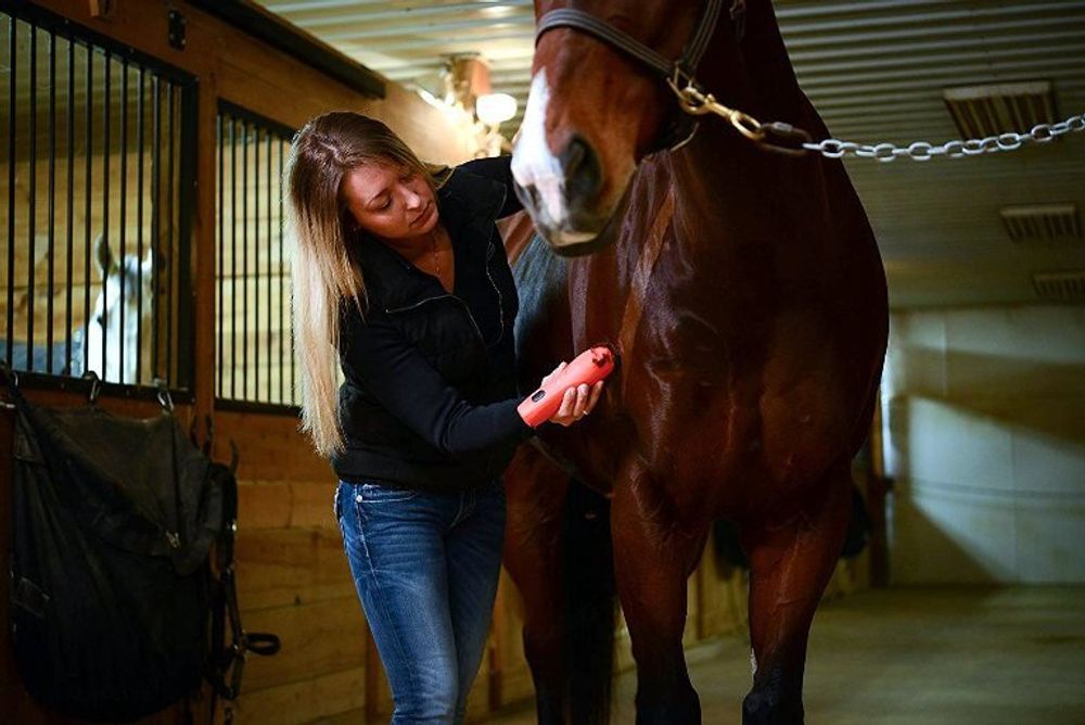 Машинка для стрижки животных Wahl KM Cordless (9596-216) - 7