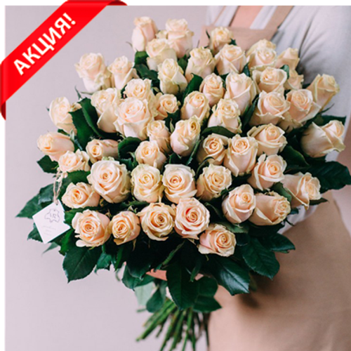 Купить Букет 51 кремовая роза Talea