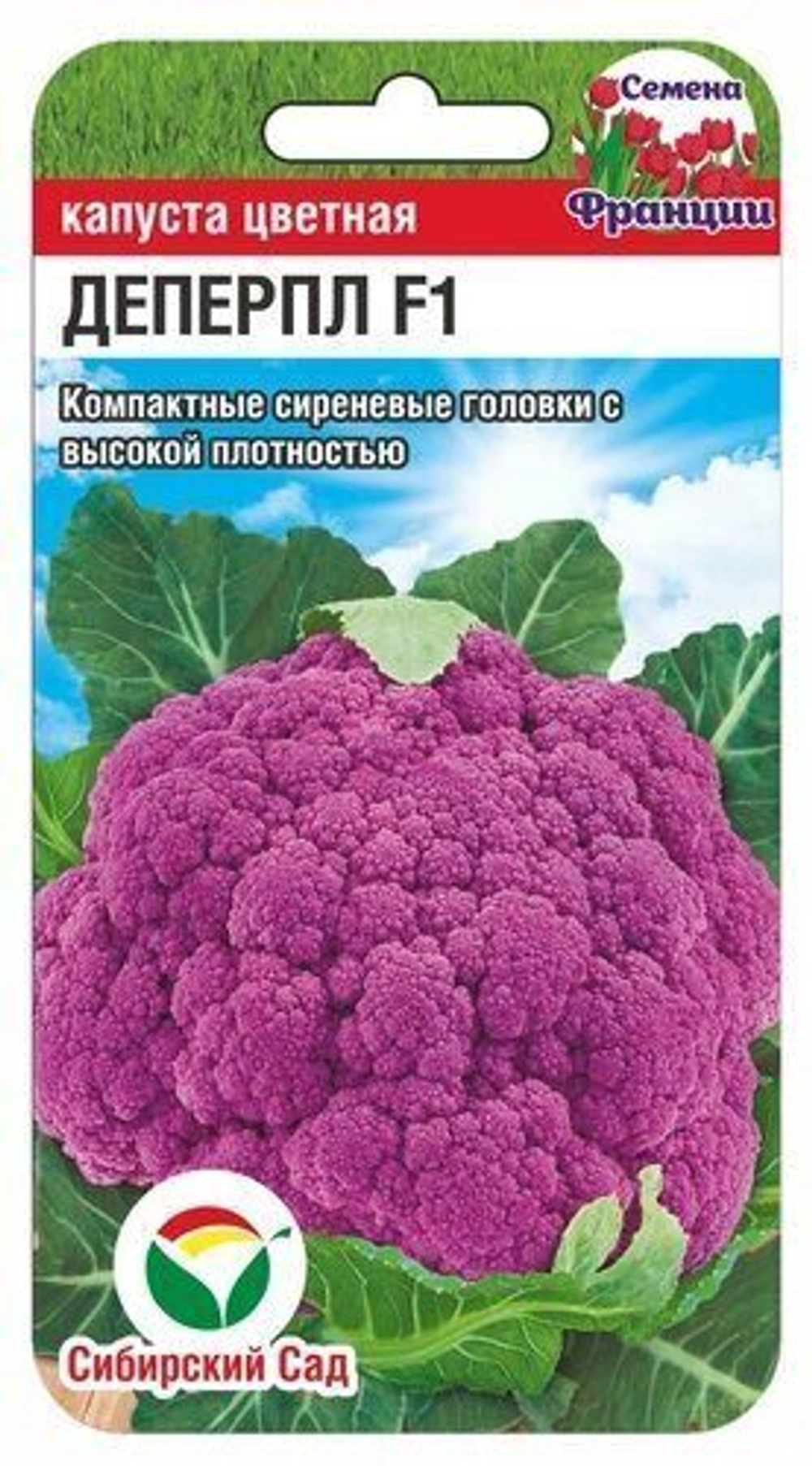 Капуста цв. Деперпл 5шт СибСад