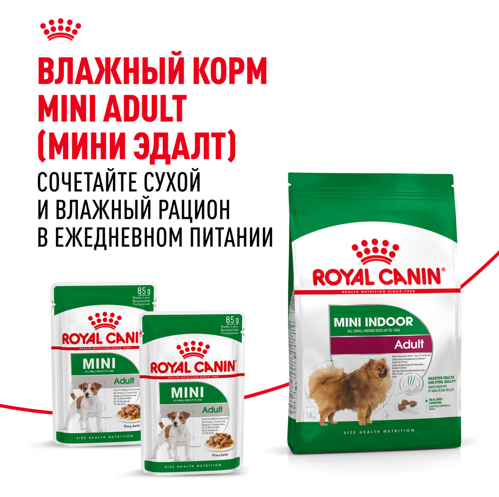 Royal Canin Mini Indoor Adult Мини Индор Эдалт Корм сухой для взрослых собак мелких пород в возрасте от 10 месяцев живущих в помещении 3кг