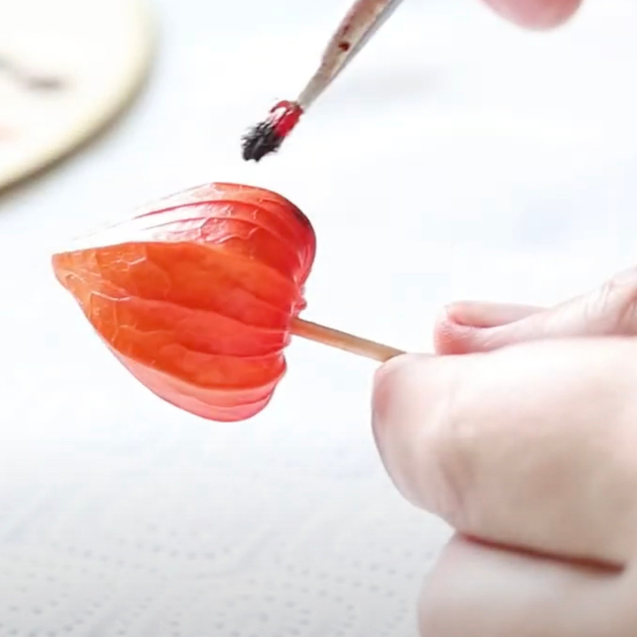 Физалис коробочка