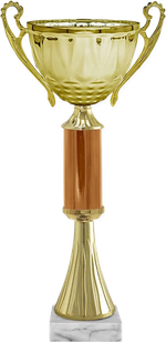 Кубок Викки