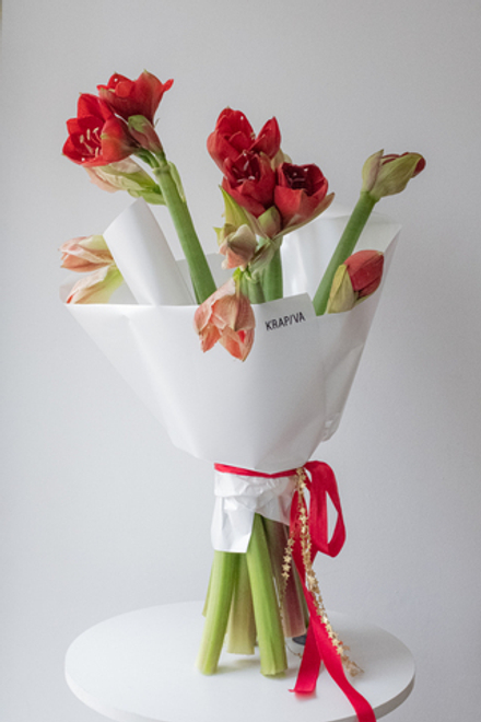 Монобукет с амариллисами