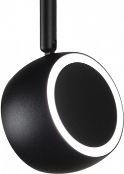 Трековый светильник Loft it T034-10