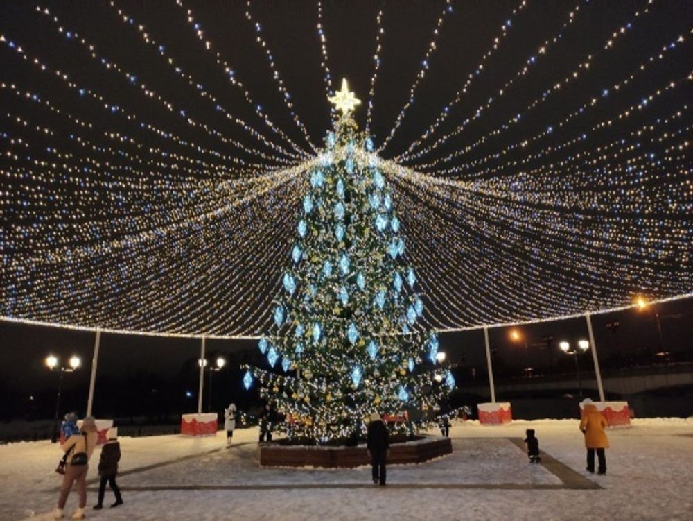 Светодинамическая елка ствольная со скамейкой, встроенная гирлянда: Теплый свет - "Лесная" (Литая хвоя) 14 м