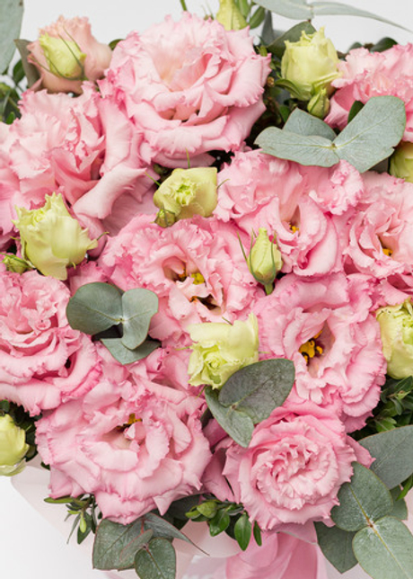 Коробочка c эустомой М #1