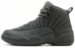 Кроссовки Jordan Air Jordan 12 Retro Psny