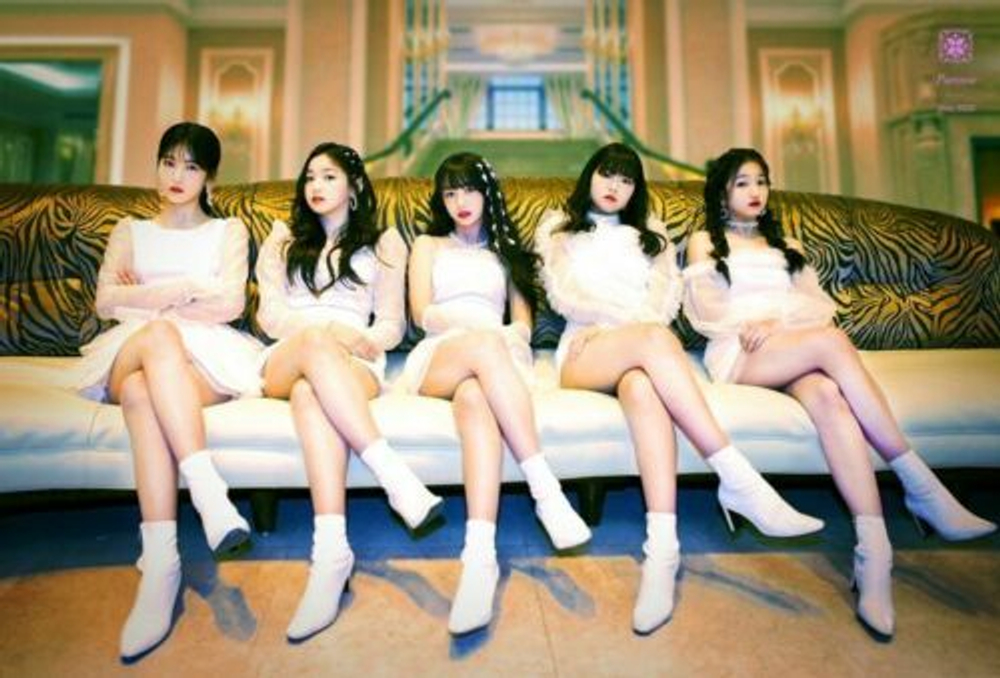 Альбом Busters - Paeonia 3rd Single Album RANDOM Version